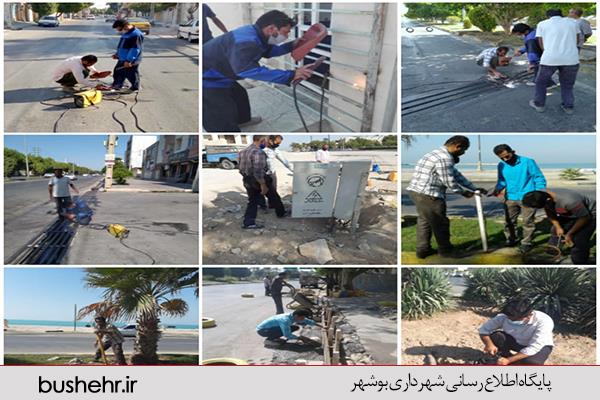 مهمترین فعالیت های انجام شده در روز های اخیر توسط معاونت اجرایی و خدمات شهری شهرداری بندر بوشهر و اداره تاسیسات وبرق شهرداری