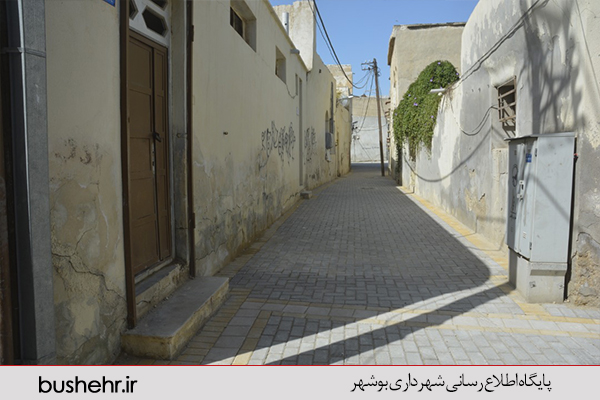 گزارش تصویری