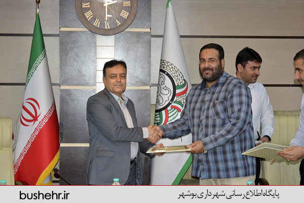 گزارش تصویری