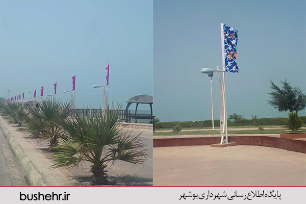 گزارش تصویری