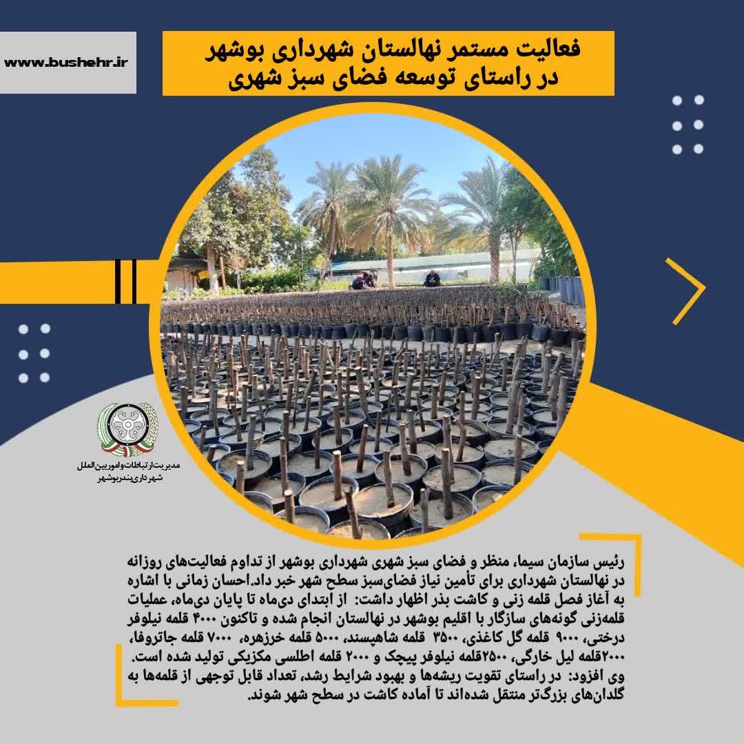 فعالیت مستمر نهالستان شهرداری بوشهر در راستای توسعه فضای سبز شهری